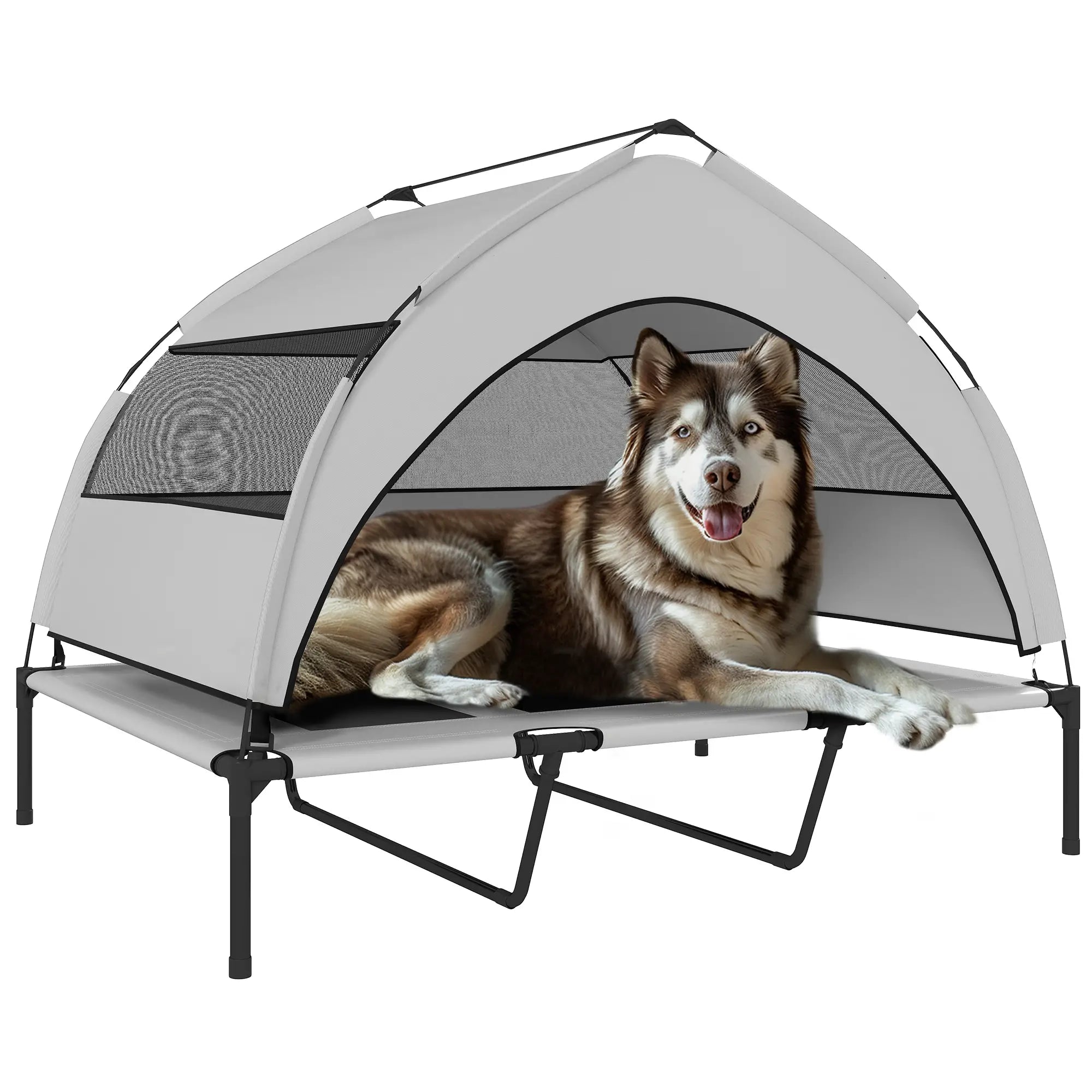 Elevated Dog Bed With Removable Canopy, Portable Pet Cot, 48