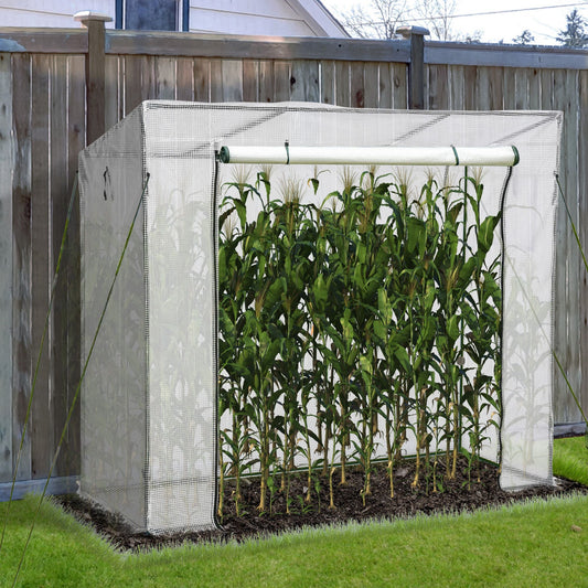 79" x 29" x 66" Walk-in Garden Greenhouse Patio Hot House with Durable Steel Frame Outdoor Tomato Plant House White - Gallery Canada