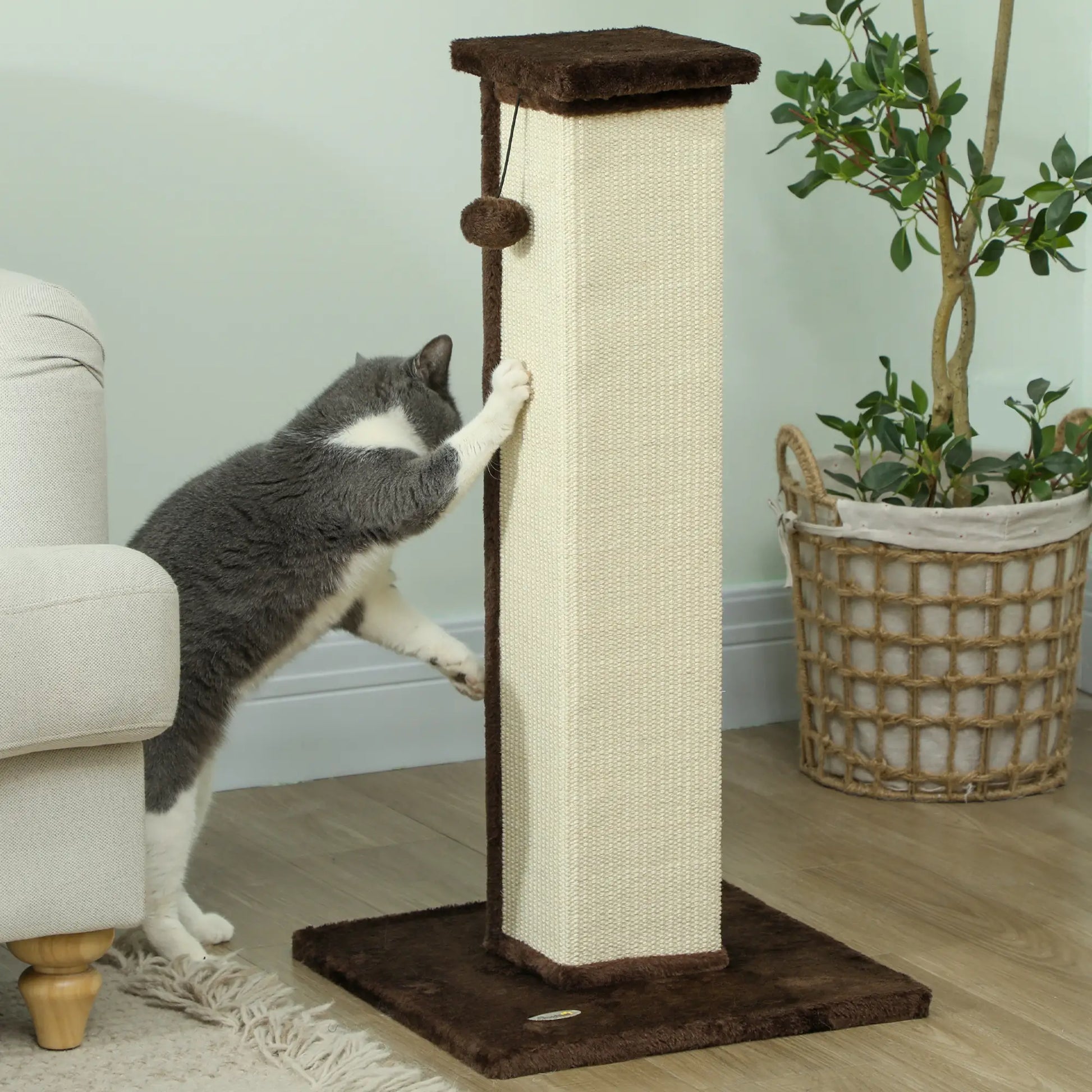 32" Tall Cat Scratching Post, Sisal Scratcher with Hanging Ball, Brown Cat Posts at Gallery Canada