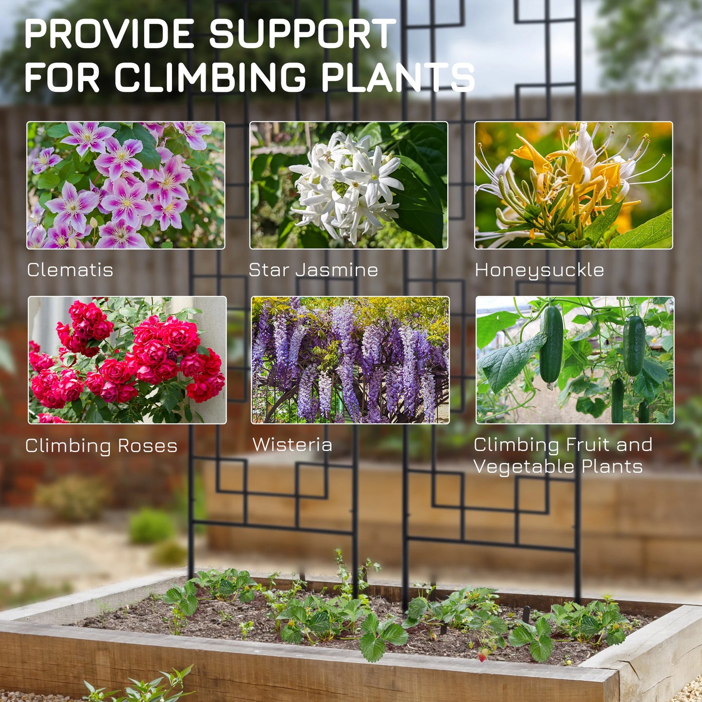 2 Pack Garden Trellis, Metal Grid Panels for Climbing Plants, 72" Tall Plant Stands at Gallery Canada