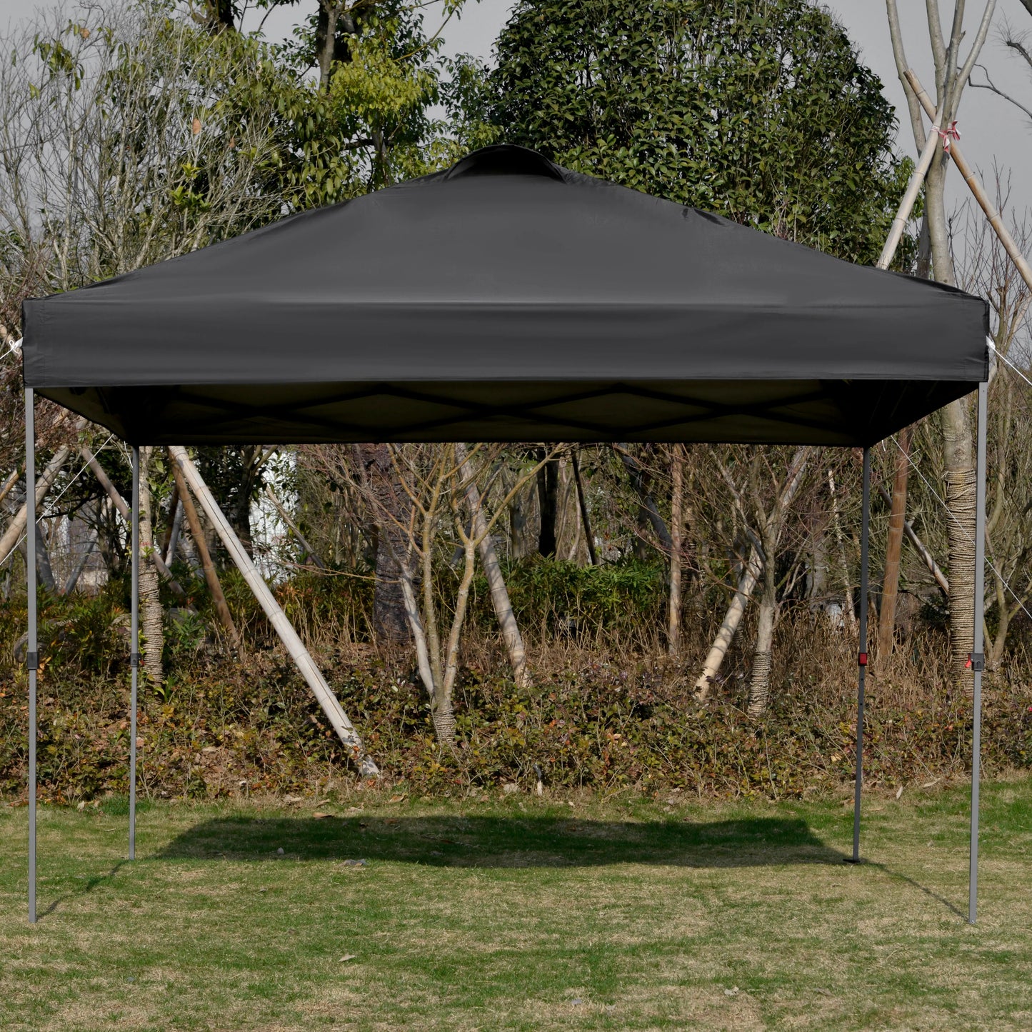 10' x 10' Pop Up Canopy Tent, Airy Top Vents, Wheeled Carry Bag, Black Pop Up Canopies at Gallery Canada
