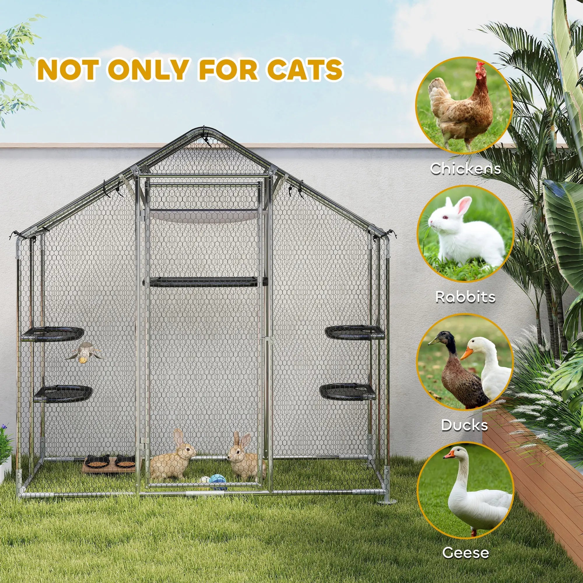 Large Cat Enclosure, Waterproof Cover, 5 Platforms, Hammock Outdoor Cat Enclosures at Gallery Canada