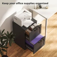 Vertical Filing Cabinet, 2 Drawers, Lock, A4 Letter, Black