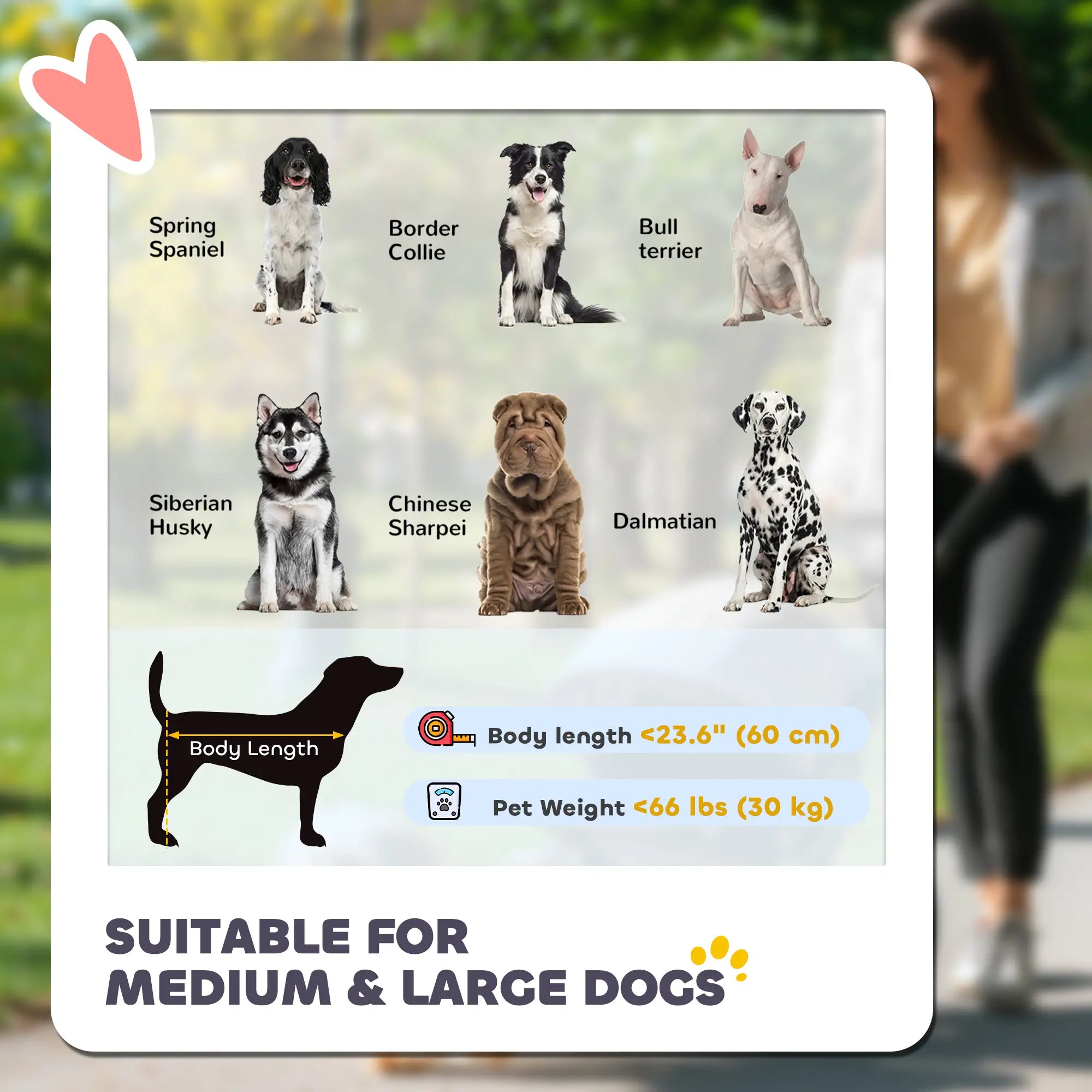 Foldable Pet Stroller, Universal Wheels, Shock Absorber, for Large & Medium Dogs, Black Dog Bike Trailers & Strollers at Gallery Canada