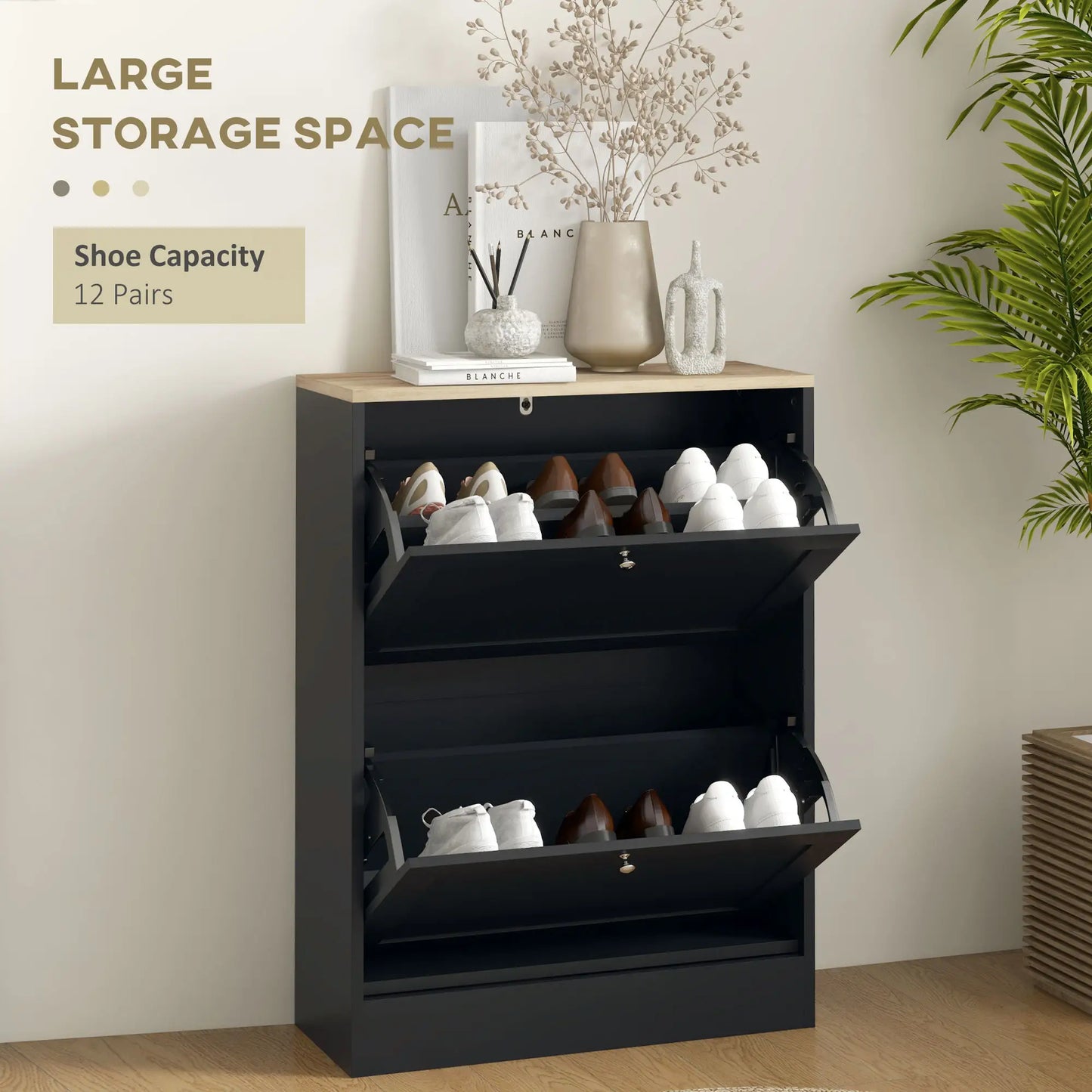Slim Shoe Storage Cabinet, 2 Flip Drawers, Adjustable Shelves for 12 Pairs, Black Shoe Storage Cabinets & Racks at Gallery Canada
