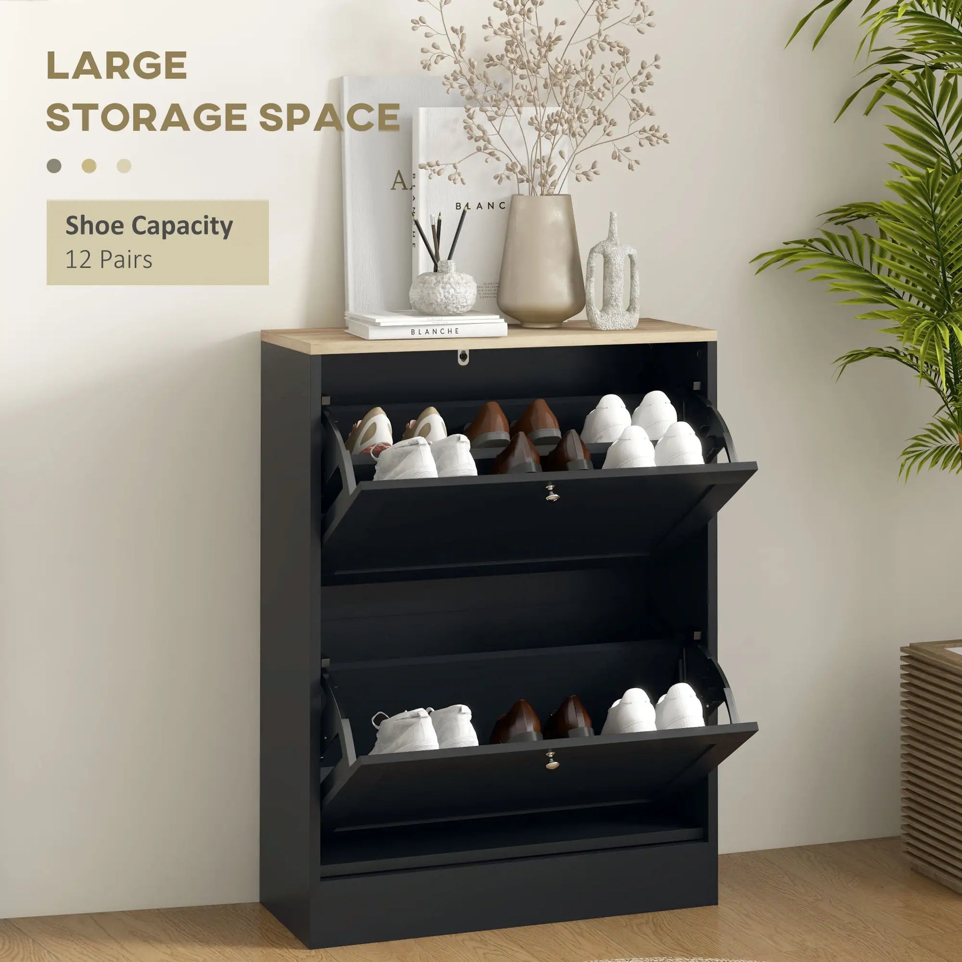 Slim Shoe Storage Cabinet, 2 Flip Drawers, Adjustable Shelves for 12 Pairs, Black Shoe Storage Cabinets & Racks at Gallery Canada