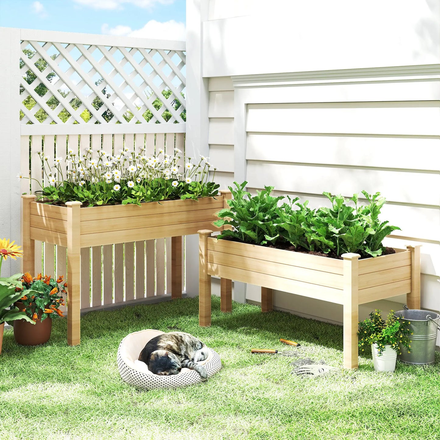 2 Tier Wood Plant Raised Bed, Grow Box Stand, Garden Step Planter Elevated Garden Beds at Gallery Canada