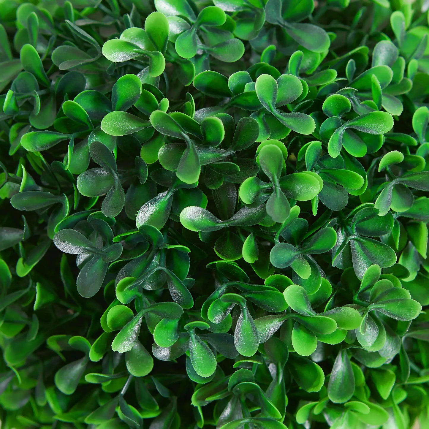 Artificial Boxwood Topiary Tree Set Of 2, Faux Plant In Pot, Green Artificial Trees at Gallery Canada