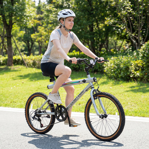 20 Inch LED Cycling Bike, 2 Speakers, Ambient Lights, Silver