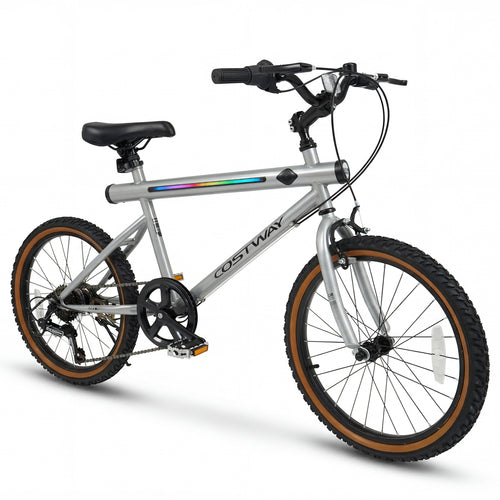20 Inch LED Cycling Bike, 2 Speakers, Ambient Lights, Silver