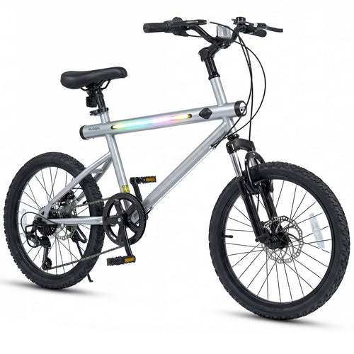 20 Inch Mountain Bike, LED Lights, 6-Speed Shimano, Silver