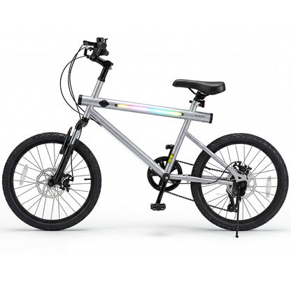 20 Inch Mountain Bike, LED Lights, 6-Speed Shimano, Silver Kids Bike at Gallery Canada