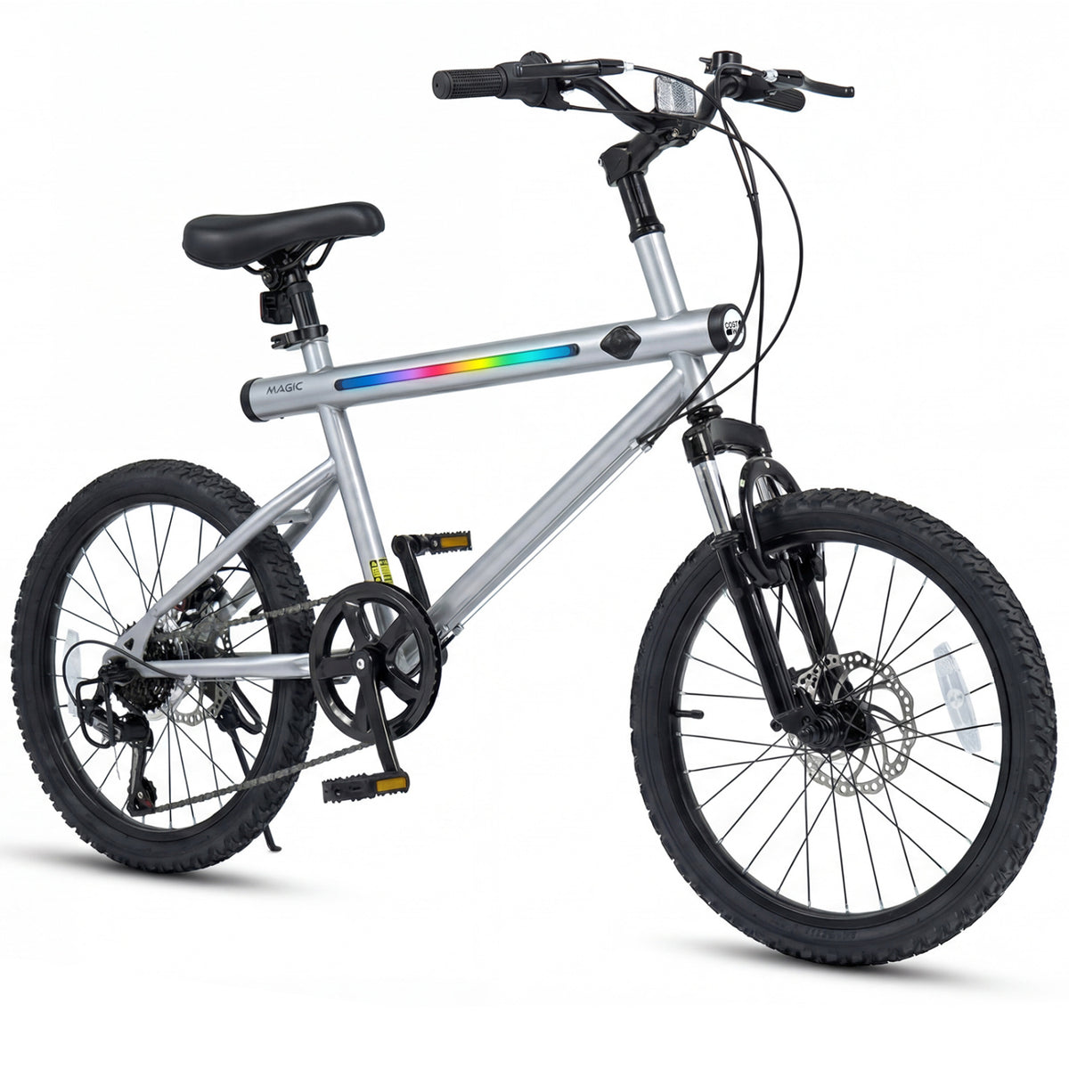 20 Inch Mountain Bike, LED Lights, 6-Speed Shimano, Silver Kids Bike at Gallery Canada