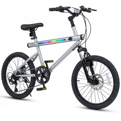 20 Inch Mountain Bike, LED Lights, 6-Speed Shimano, Silver Kids Bike at Gallery Canada