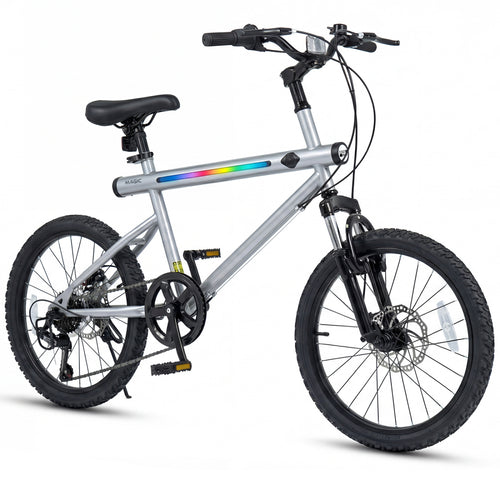 20 Inch Mountain Bike, LED Lights, 6-Speed Shimano, Silver