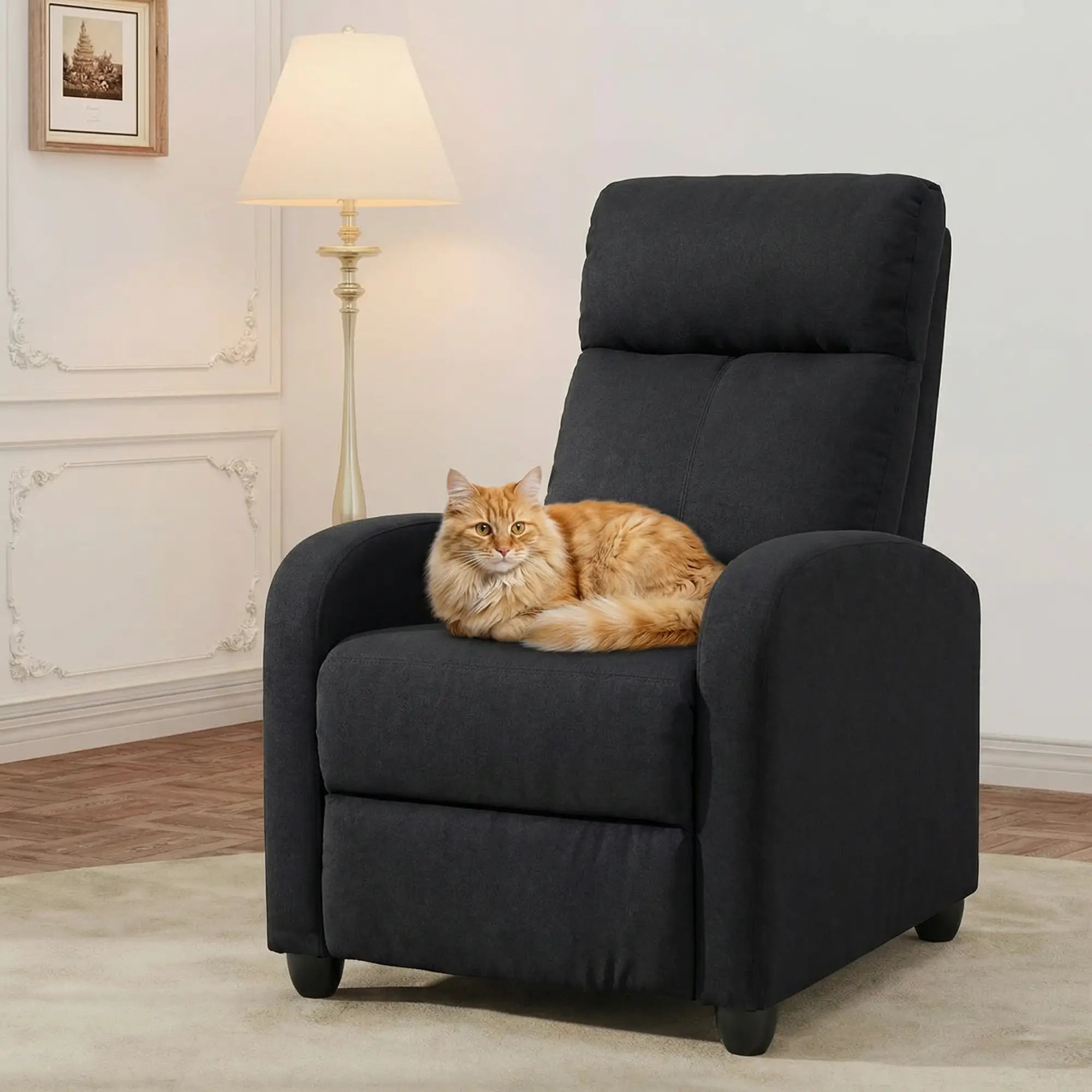 Manual Fabric Recliner Chair, Single Sofa with Padded Seat, Black Single Sofas at Gallery Canada