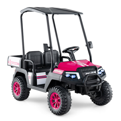 24V Kids Golf Cart, 4WD 2-Seater Ride On Car, Pink
