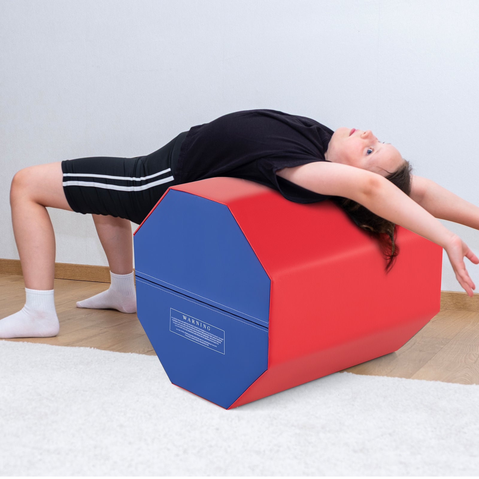 24.5 Inch Octagon Gymnastics Mat, Waterproof Zippered Cover, Red Yoga & Gym Mats at Gallery Canada