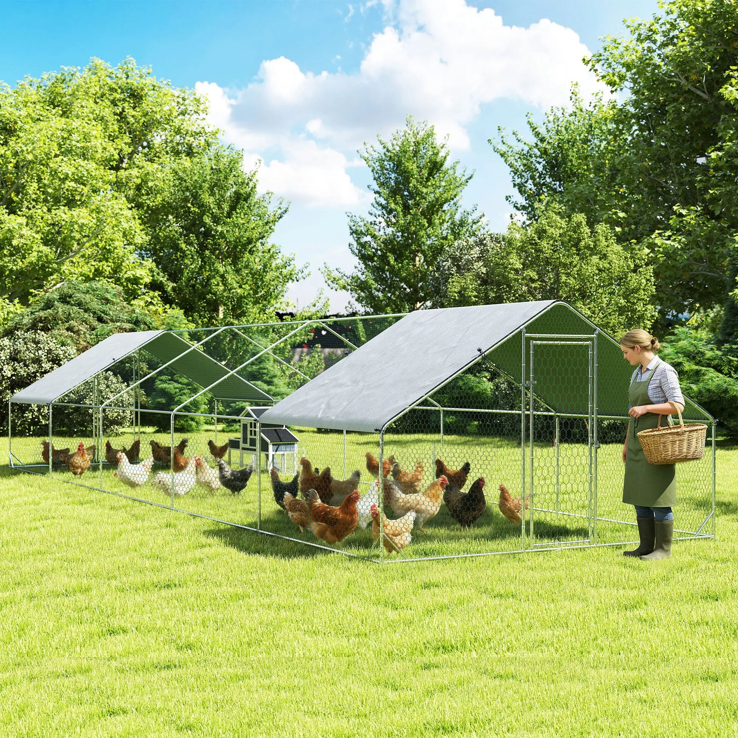Metal Chicken Coop with Water- and UV-Protection Cover for Backyard Hen, Duck, Rabbit, 32.8' x 9.8' x 6.4' Chicken Coops at Gallery Canada
