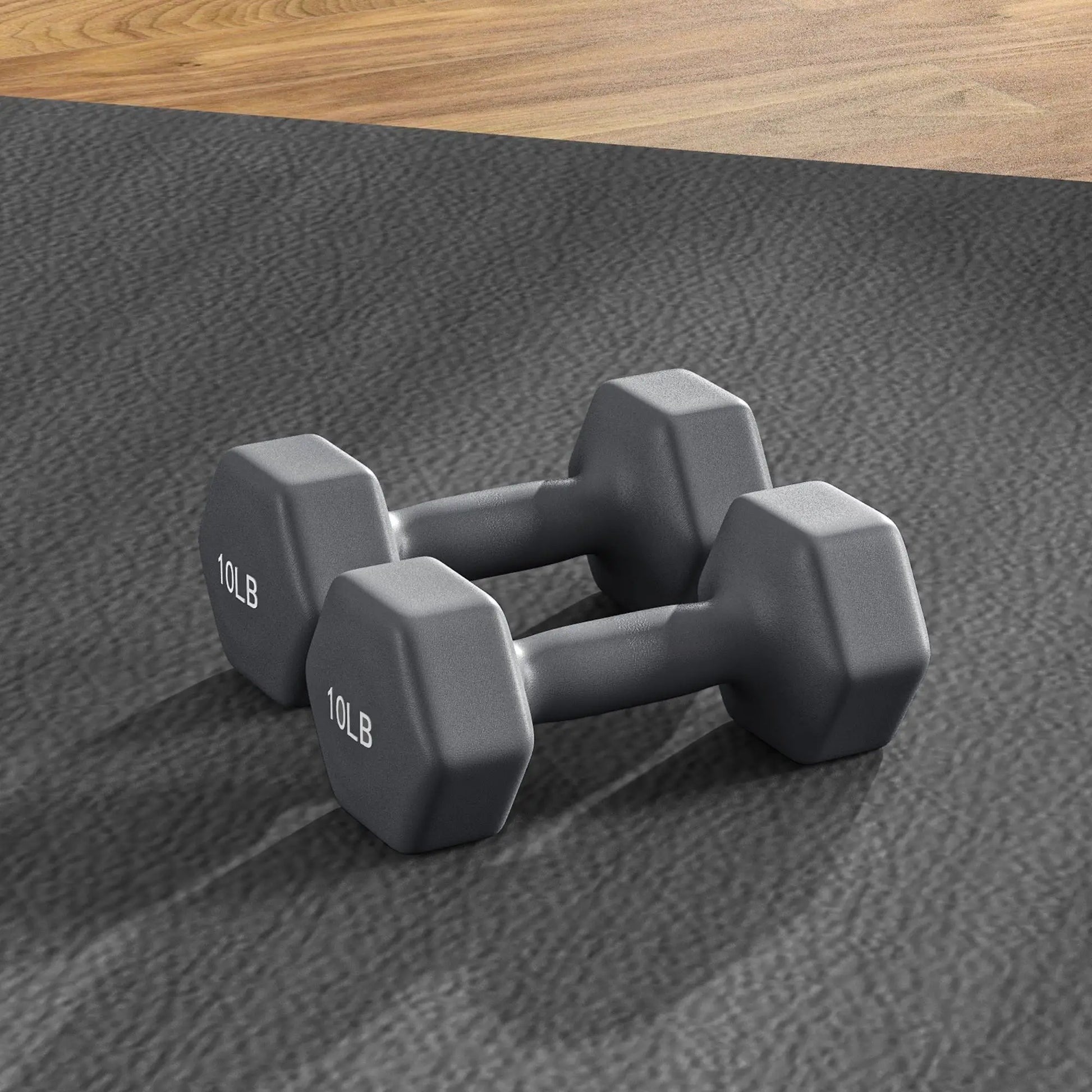 Hexagonal Dumbbells, 10LBS Set of 2, Non-Slip Grip Dumbbells & Barbells at Gallery Canada