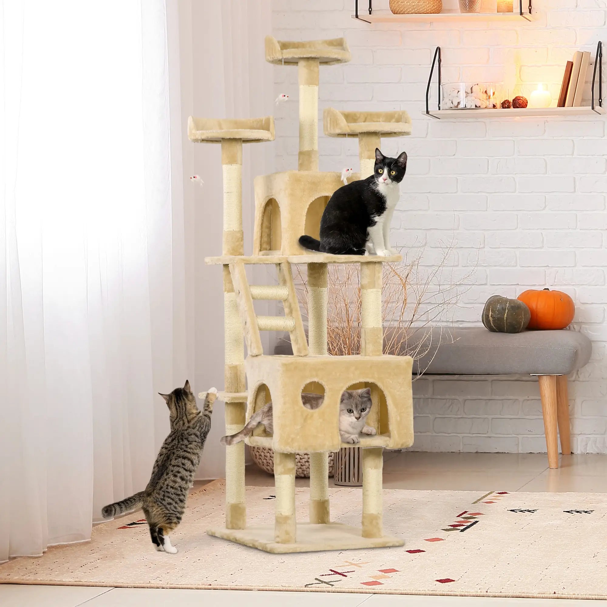 71-Inch Multi Level Cat Scratching Tree, Kitty Condo with Toys, Beige Cat Towers at Gallery Canada