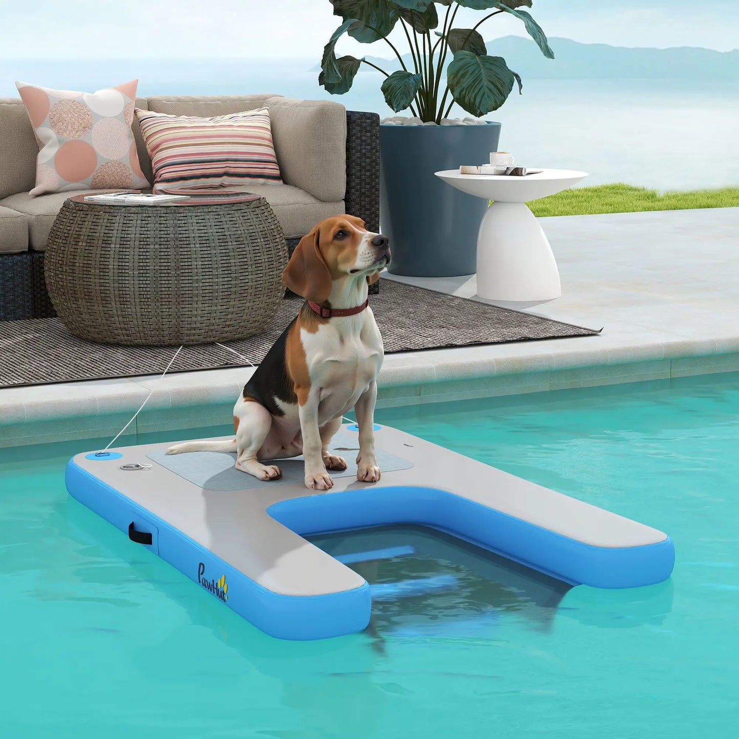 Floating Pet Boat Ramp, Up to 300 lbs, for Pool, Lake, Dock Dog Stairs at Gallery Canada