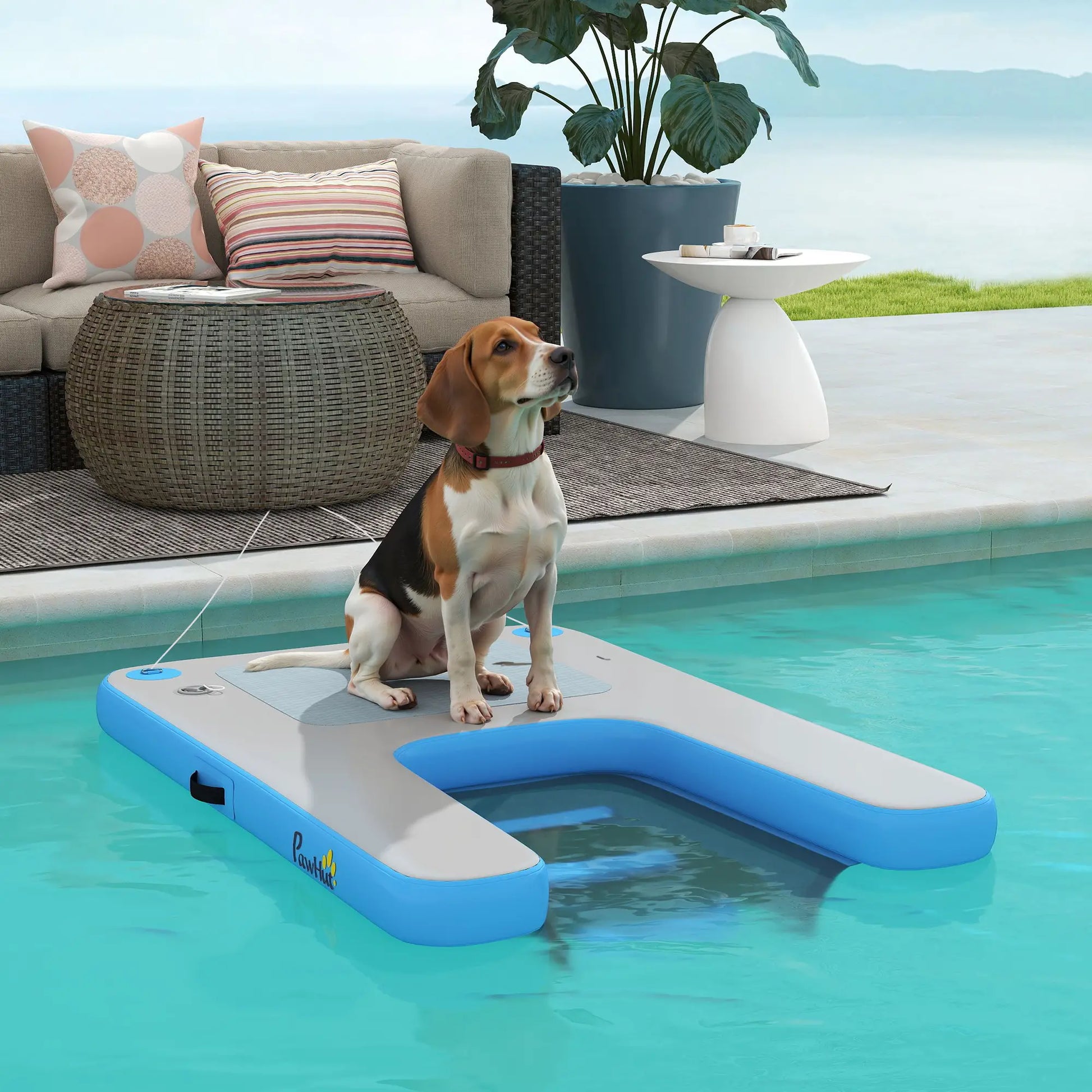 Floating Pet Boat Ramp, Up to 300 lbs, for Pool, Lake, Dock Dog Stairs at Gallery Canada