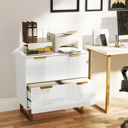 2 Drawer Lateral File Cabinet, Letter/A4/Legal Size, High Gloss White, White Office Cabinets & Cupboards at Gallery Canada