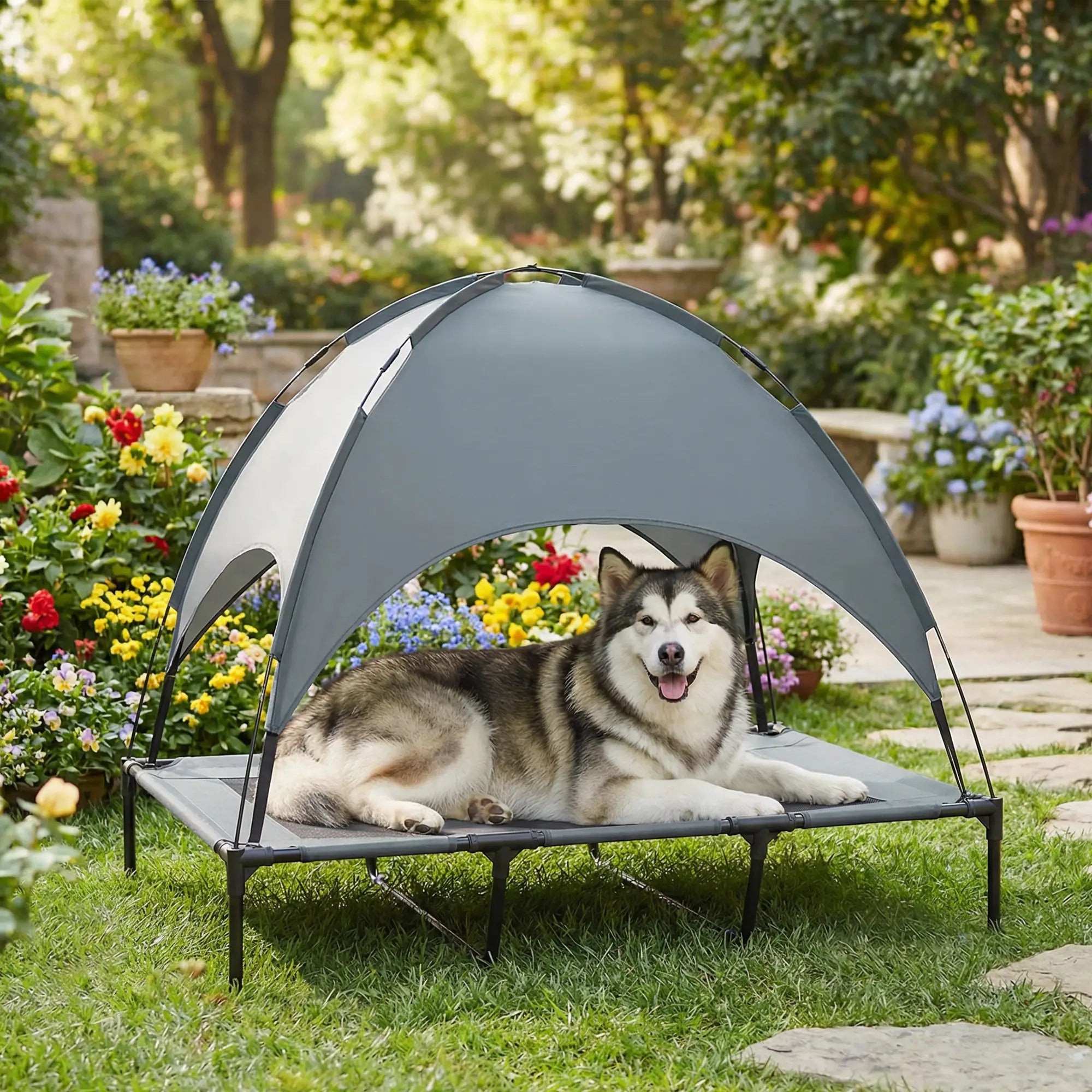 Elevated Dog Bed with Canopy, Portable XL Dog Cot, 48