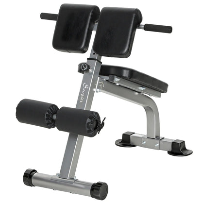 Hyperextension Bench, Height Adjustable, 38" x 26.8" x 27.2-43.3", Silver Tone Strength Training Equipment at Gallery Canada