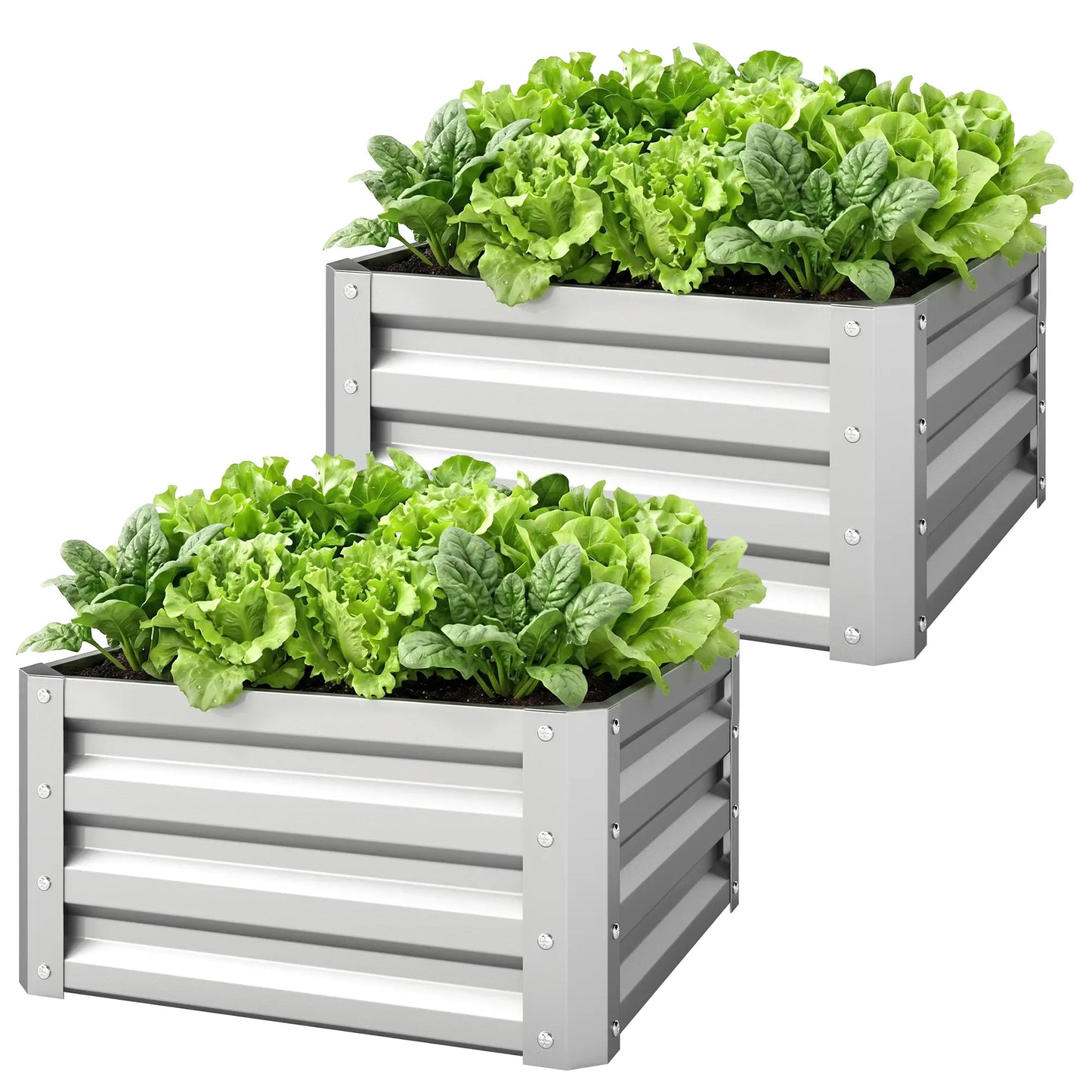 2' x 2' x 1' Raised Garden Bed, Galvanised Steel Frame, Vegetables, Flowers, Herbs, Silver Raised Garden Beds Silver at Gallery Canada