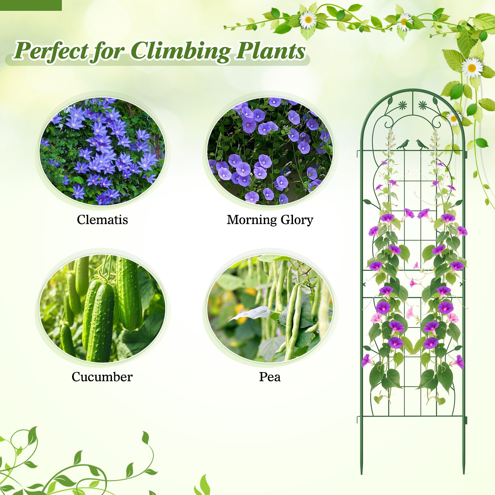 2 Pack 71 x 20 Inch Metal Garden Trellis, Rustproof Plant Support, Green Decorative Fencing & Flooring at Gallery Canada