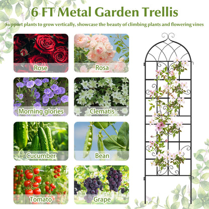2 Pack 71" X 20" Metal Garden Trellis For Climbing Plants, Black Plant Supports at Gallery Canada