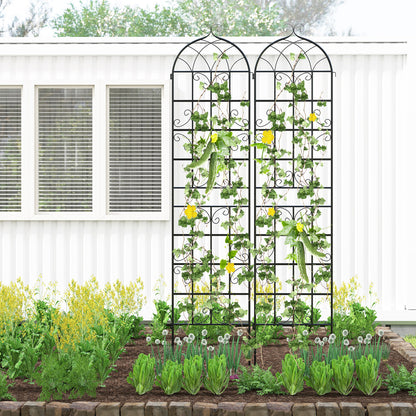 2 Pack 86"X20" Metal Garden Trellis For Climbing Plants Plant Supports at Gallery Canada