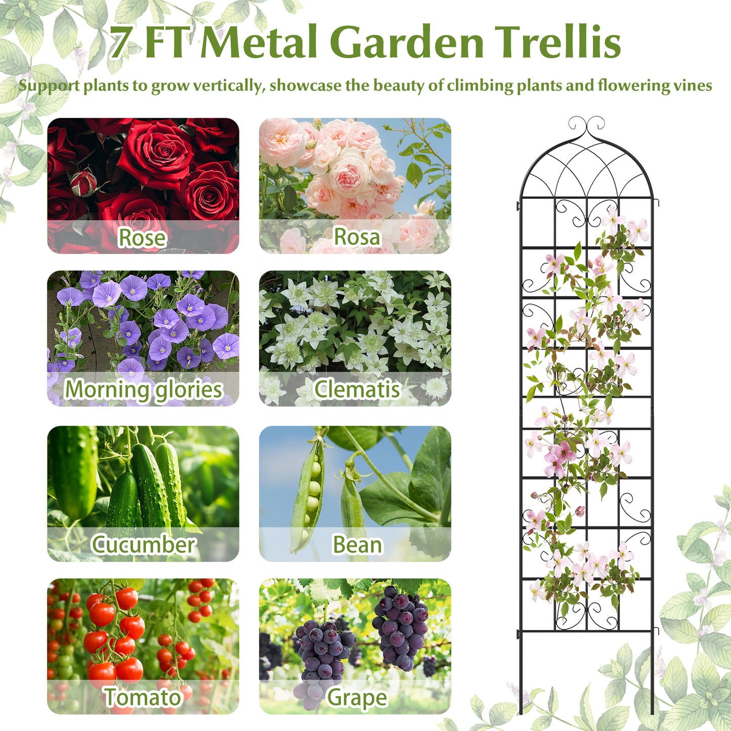 2 Pack 86"X20" Metal Garden Trellis For Climbing Plants Plant Supports at Gallery Canada