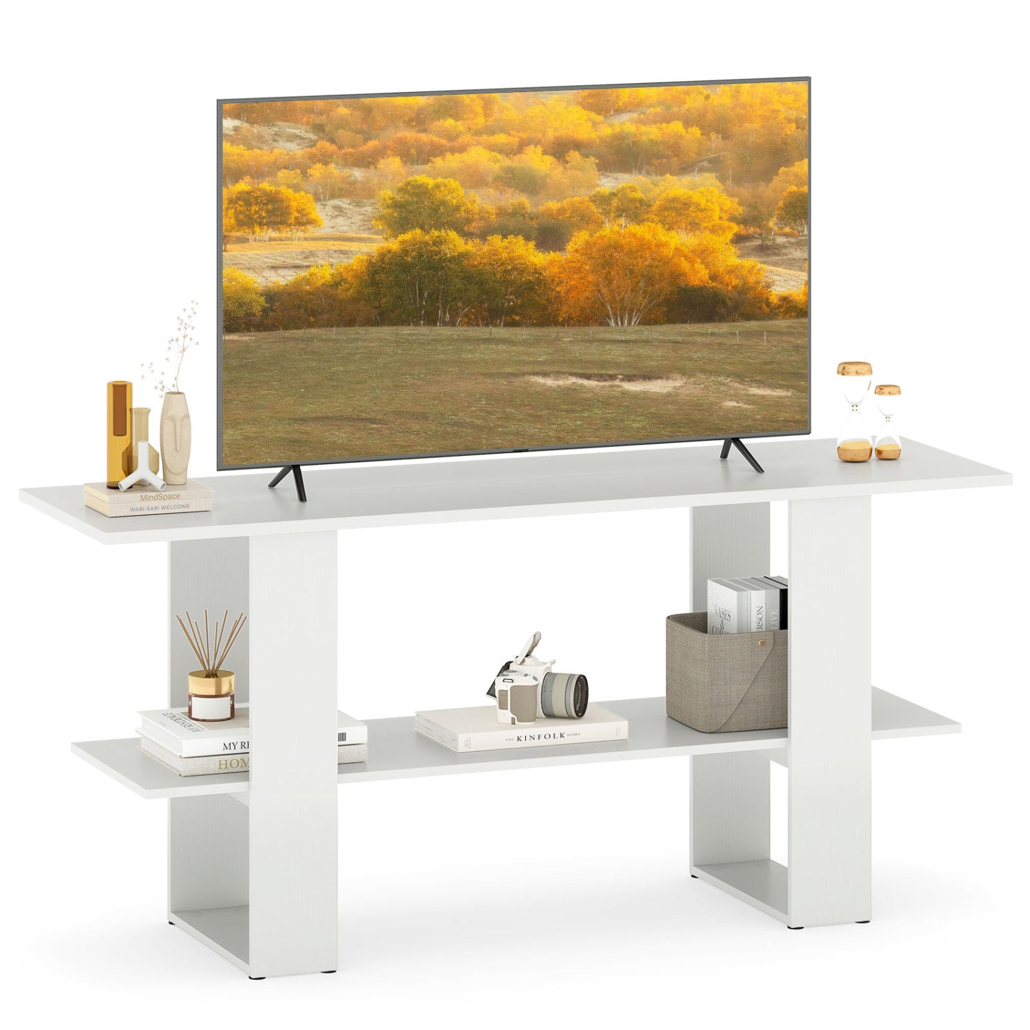 2-Tier TV Stand, 55 Inch, Storage Console Table, White