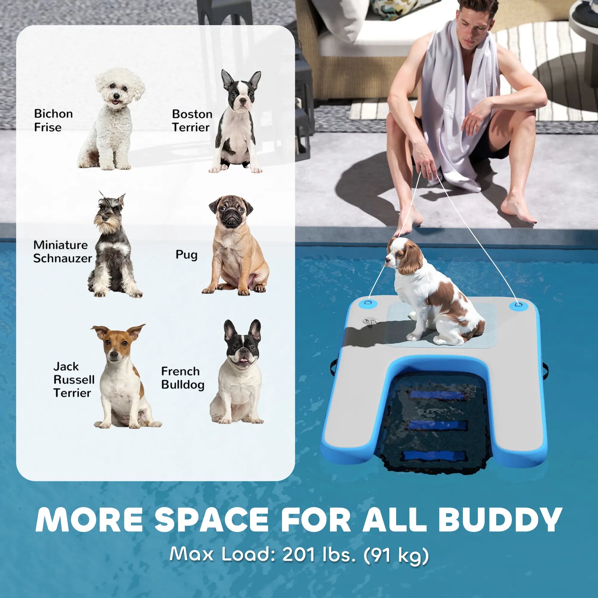 Floating Boat Ramp, Pets Up to 200 lbs, for Pool, Lake, Boat, Dock Dog Stairs at Gallery Canada