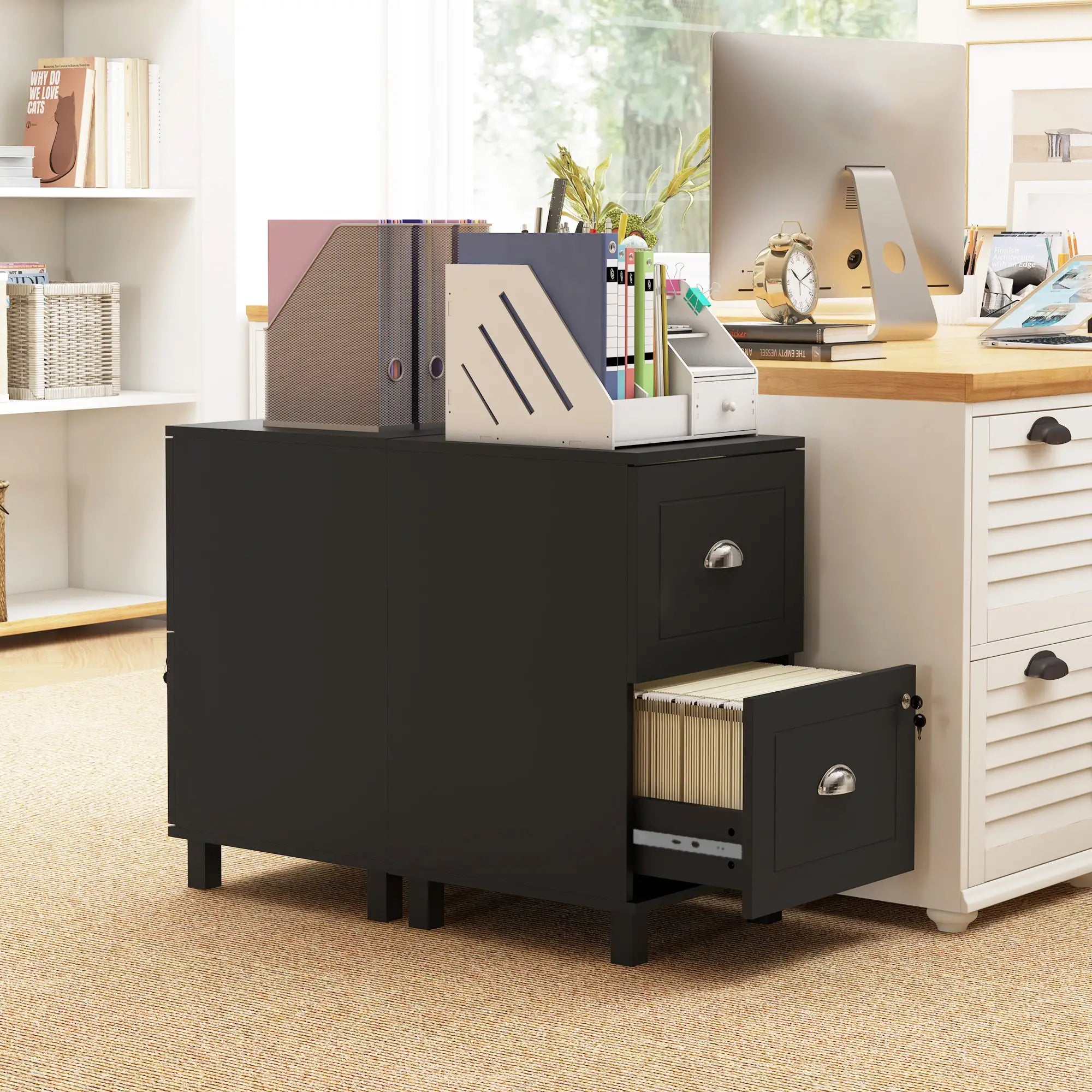 2-Drawer Small Filing Cabinet, Lockable, Adjustable Hanging Bars, Black Office Cabinets & Cupboards at Gallery Canada