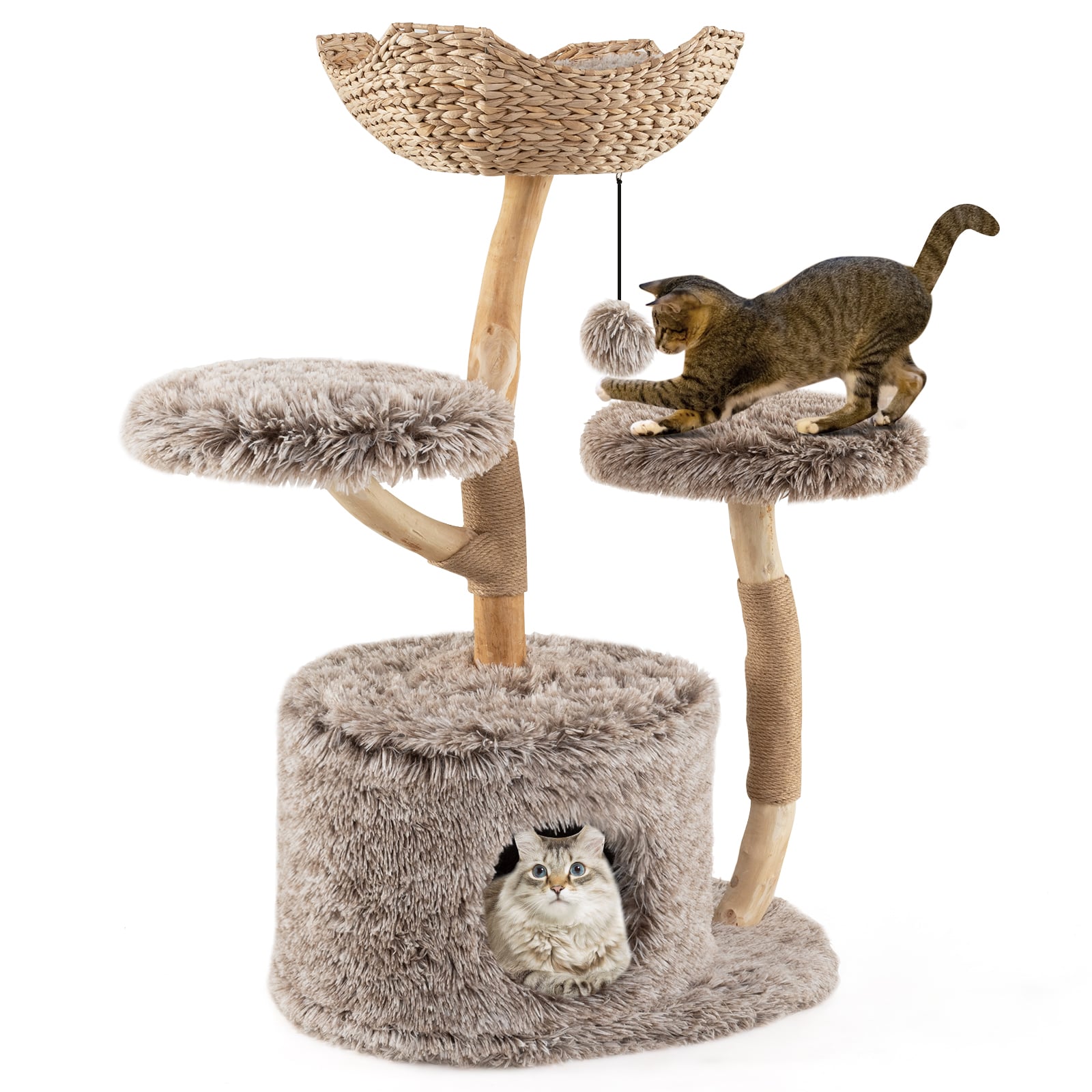 Solid Pear Wood Cat Tree, Perch, Sisal Scratching Posts, Brown Cat Trees Condos & Scratchers Brown at Gallery Canada