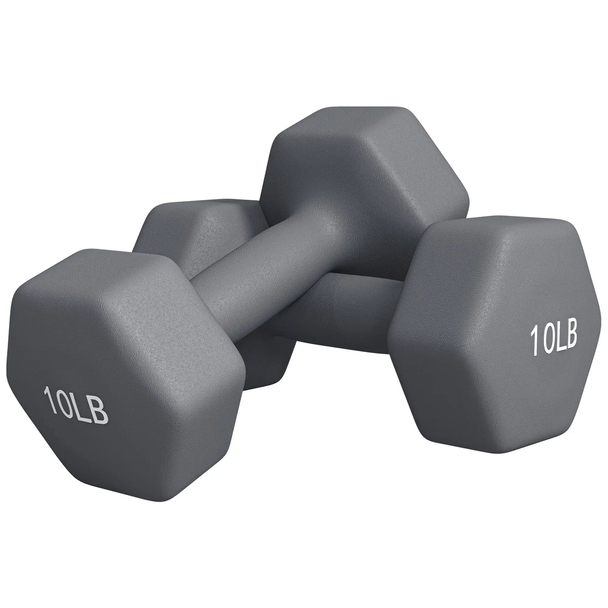 Hexagonal Dumbbells, 10LBS Set of 2, Non-Slip Grip Dumbbells & Barbells at Gallery Canada