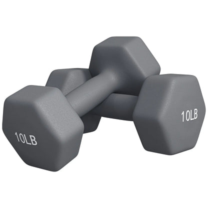 Hexagonal Dumbbells, 10LBS Set of 2, Non-Slip Grip Dumbbells & Barbells at Gallery Canada