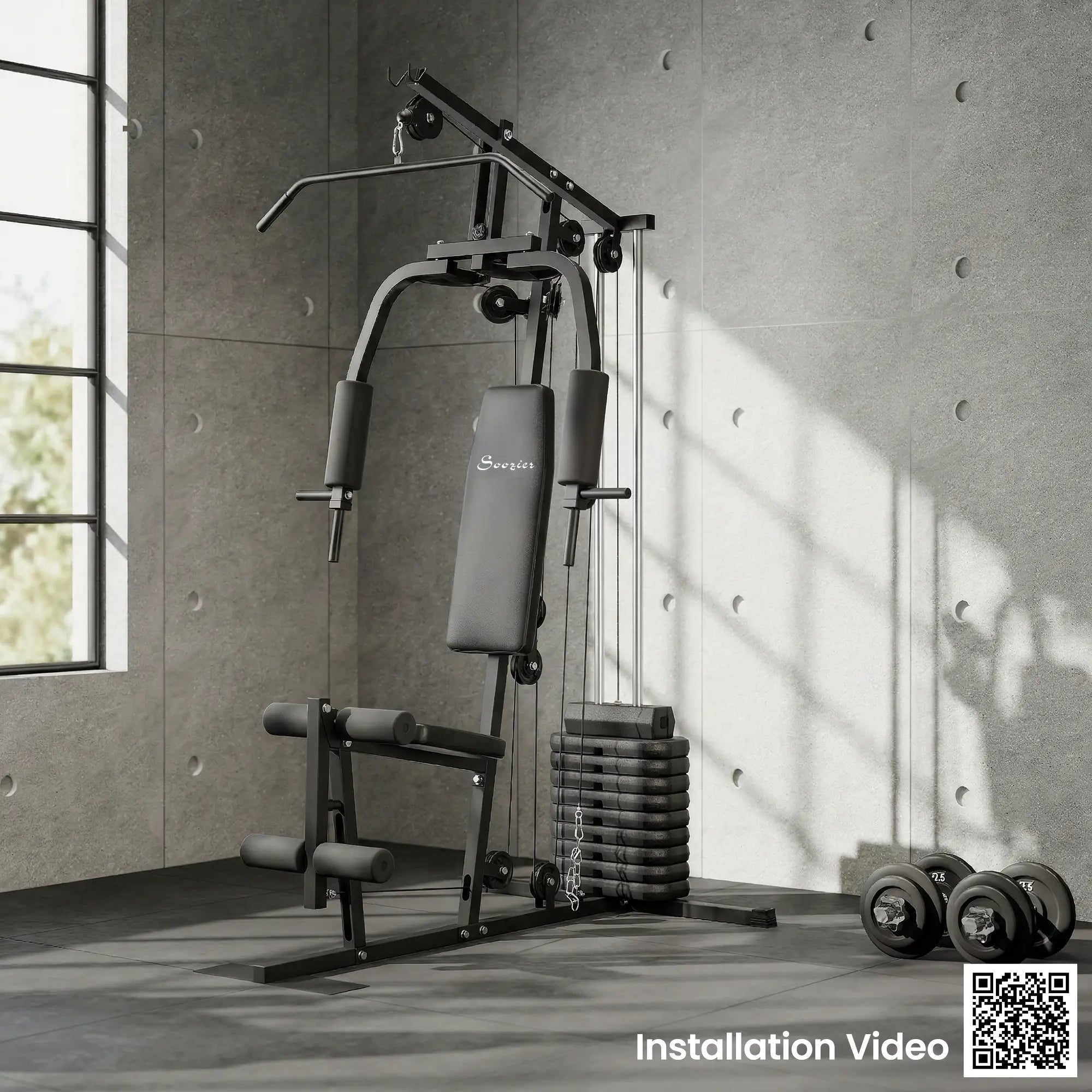 Multifunction Home Gym, 99lbs Weight Stack, Full Body Workout Power Towers at Gallery Canada