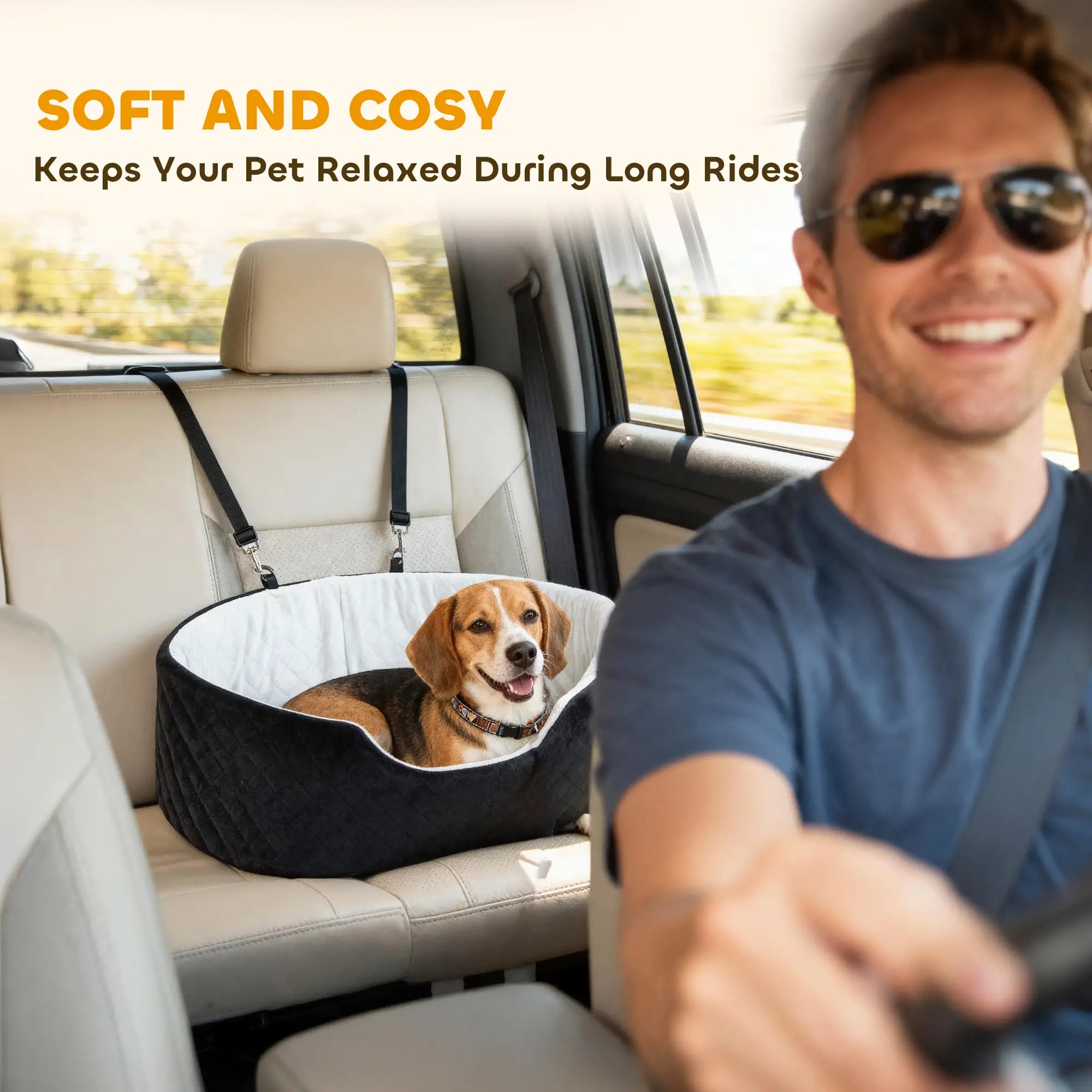 Dog Car Seat for Small Medium Pets, Detachable Washable Pet Bed with Cushion and Safety Belt, Black Elevated Dog Beds at Gallery Canada