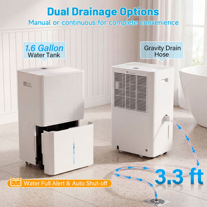 3 Modes Dehumidifier, Drain Hose, LED Display, 6500 Sq.Ft, White