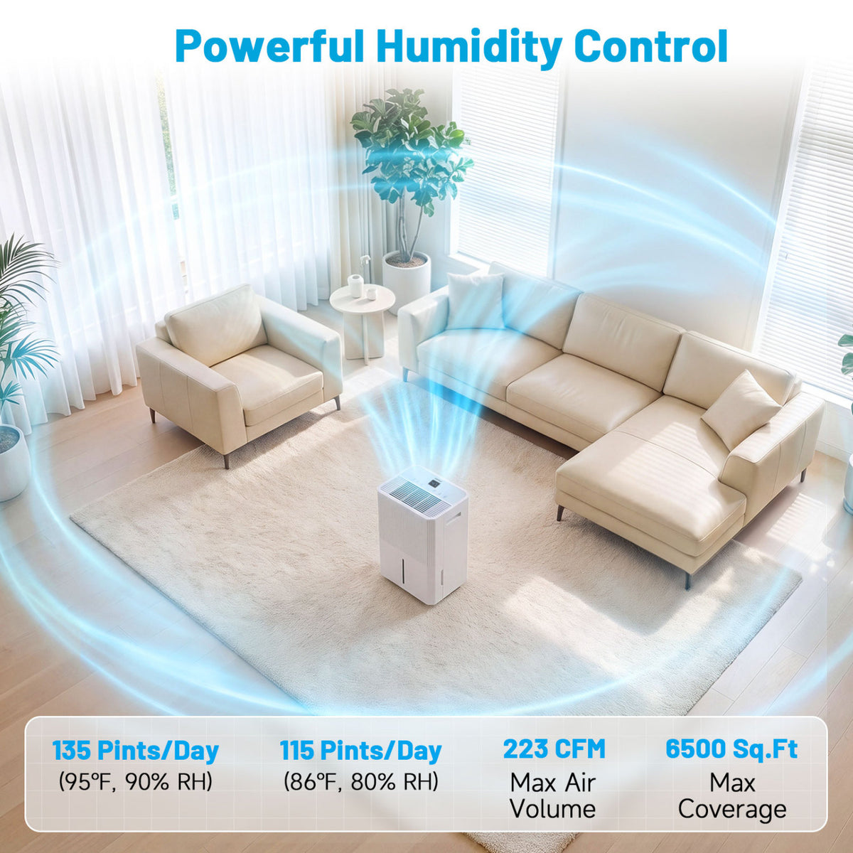 3 Modes Dehumidifier, Drain Hose, LED Display, 6500 Sq.Ft, White