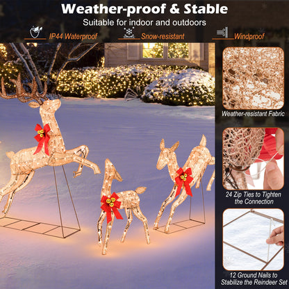 Lighted Christmas Reindeer Family Set, 3 Pieces, 255 Lights, Golden Christmas at Gallery Canada