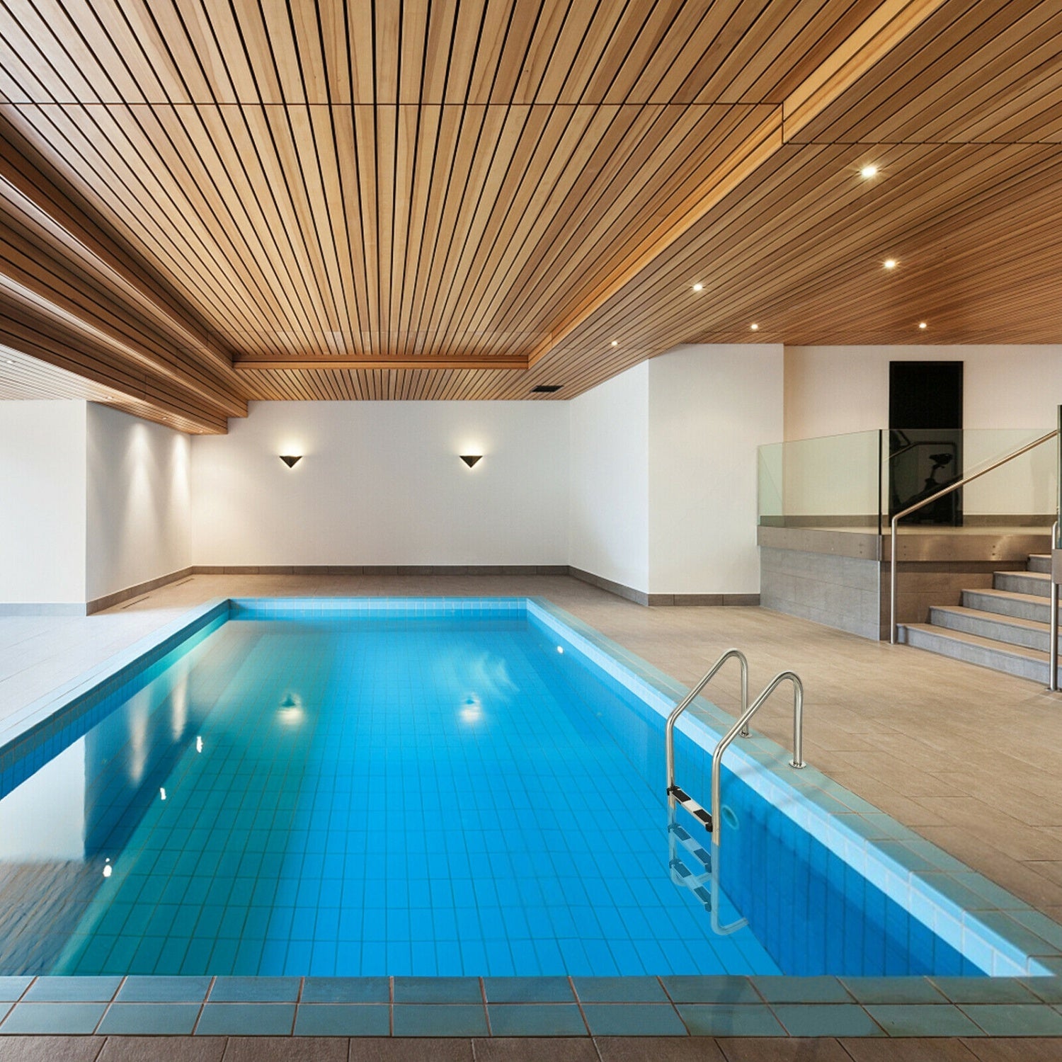 3-Step Stainless Steel Pool Ladder, Anti-Slip Step, Silver Swimming Pools at Gallery Canada