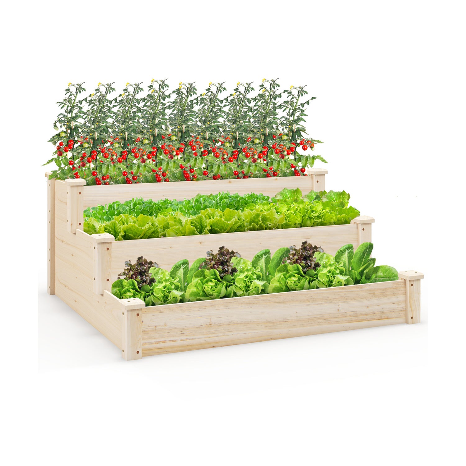 3 Tier Elevated Wooden Vegetable Garden Bed Raised Garden Beds at Gallery Canada