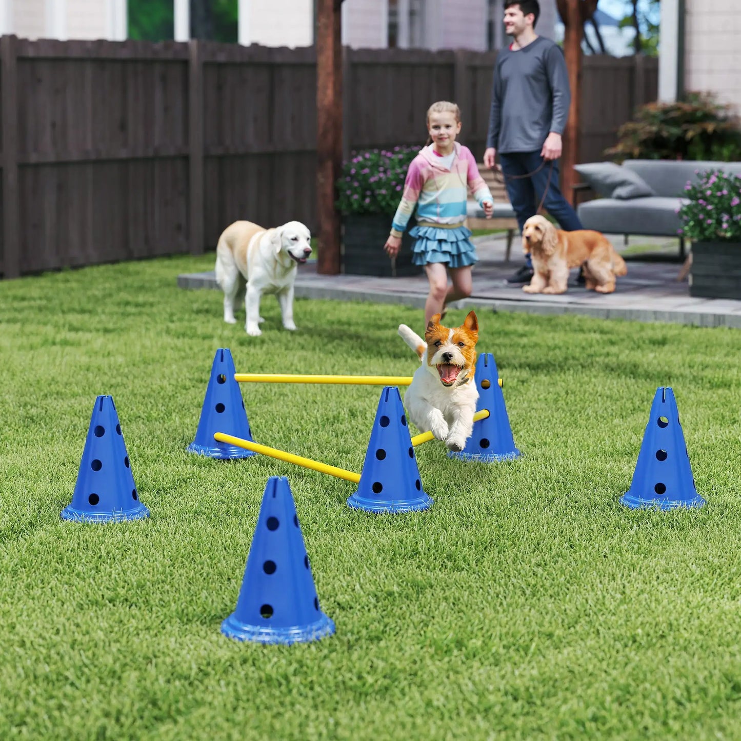 Dog Agility Hurdle Cone Set, Adjustable Obstacle Course, 6 Cones & Poles, Blue Dog Agility Training Equipment at Gallery Canada