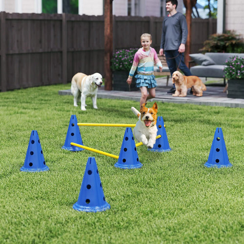 Dog Agility Hurdle Cone Set, Adjustable Obstacle Course, 6 Cones & Poles, Blue